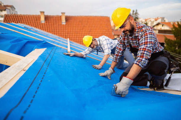 Best Roof Coating and Sealing  in Camp Hill, AL